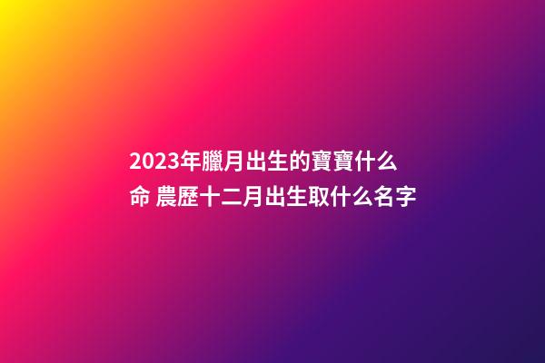 2023年臘月出生的寶寶什么命 農歷十二月出生取什么名字